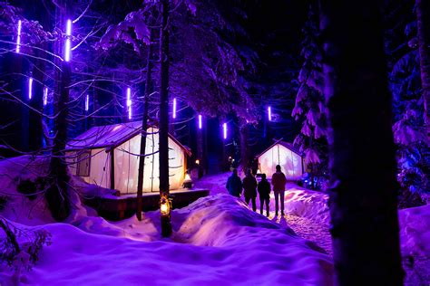 Vallea Lumina | Multimedia Night Walk in Whistler