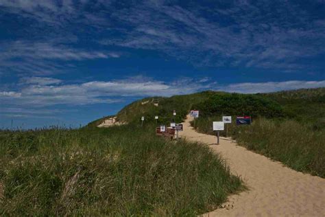 Truro Beaches Guide | Cape Cod Events by Cape Cod Star