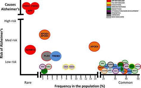 Alzheimer's disease risk genes and mechanisms of disease pathogenesis. - Abstract - Europe PMC