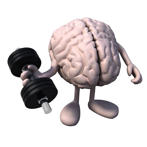 Benefits of Exercise for Brain and Memory Functions