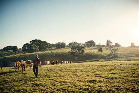 91,700+ Rural Australia Stock Photos, Pictures & Royalty-Free Images - iStock