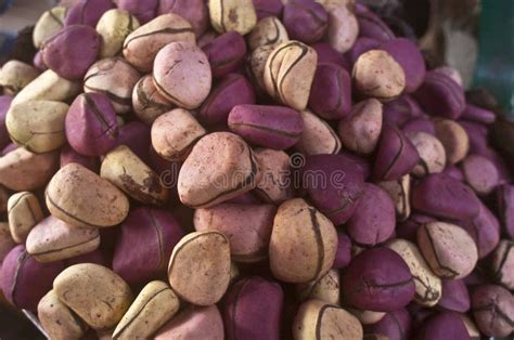 Kola nuts stock photo. Image of nuts, caffeine, edible - 33729162