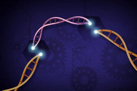 New and Improved CRISPR 3.0 System for Highly Efficient Gene Activation ...