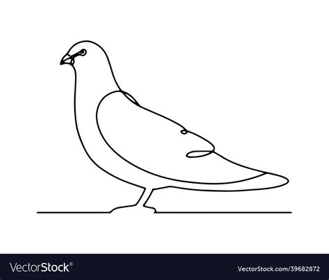 Line art pigeon simple bird Royalty Free Vector Image