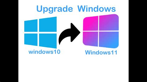 Windows 11 upgrade - plespa