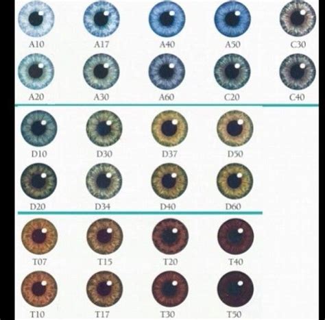 Discover the 10 Colors My Eyes Change Through