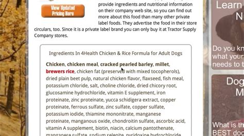 Unleash Your Dog's Health Potential: The Top 10 4 Health Dog Food ...