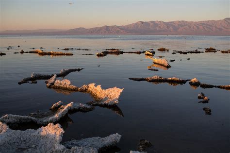 Preserving an Accident, the Salton Sea in California, for the Good of ...