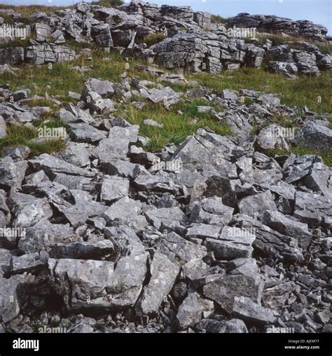 Carbonation weathering limestone hi-res stock photography and images - Alamy