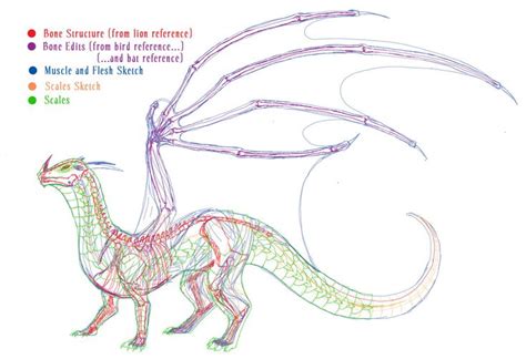 Anatomy of a Dragon Animation by StarRaven on DeviantArt | Dragon anatomy, Dragon drawing ...