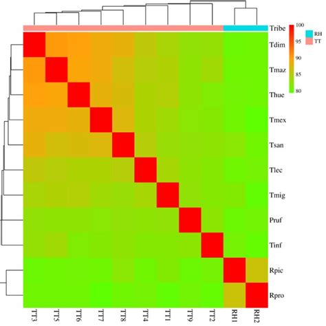 Heat map of the similarity in MT-COX1 gene of Triatominae. Species... | Download Scientific Diagram