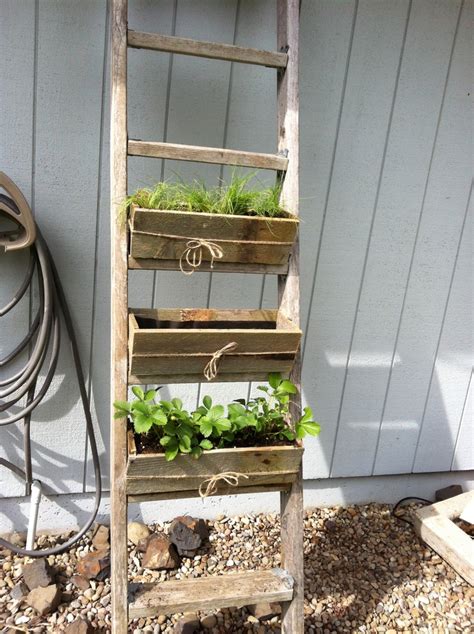 Top 25 ideas about Garden ladder on Pinterest | Gardens, Planters and Decks