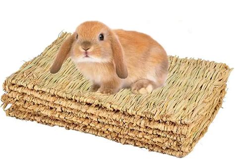 The Best Toys for Your Pet Rabbit - SimplyRabbits - Rabbit care