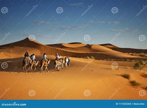 Tourism in the Sahara Desert, Camel Trekking Tours for Tourists Stock Photo - Image of berbers ...