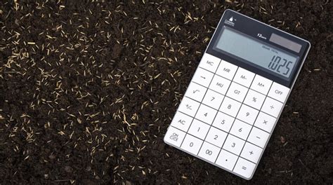 Grass Seed Calculator: How Much Grass Seed Do I Need?