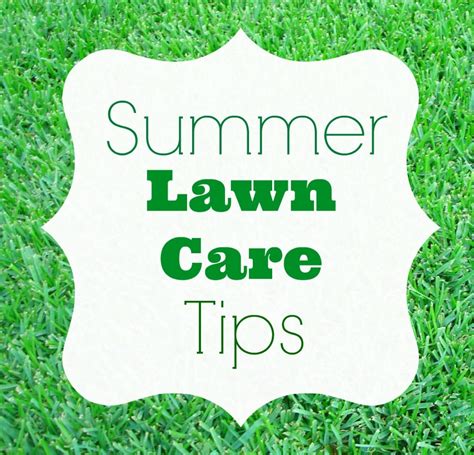 Summer Lawn Care Tips - Homes.com