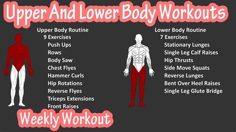 Weekly Upper And Lower Split Workout, Exercise Routine With Dumbbells, Body Weight For Beginners ...