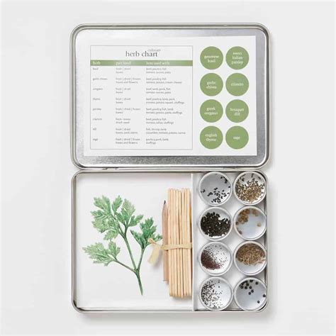 Best Starter Herb Garden Kits [Indoor Kits] | Family Food Garden