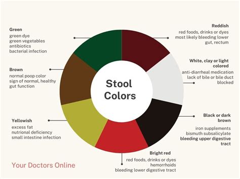 Colorful Consequences: Why Is My Poop Green After Drinking Red Wine ...