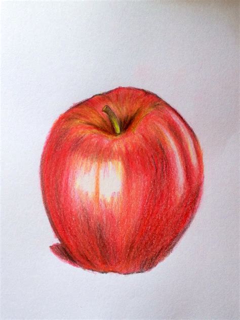 Realistic Apple Drawing at GetDrawings | Free download