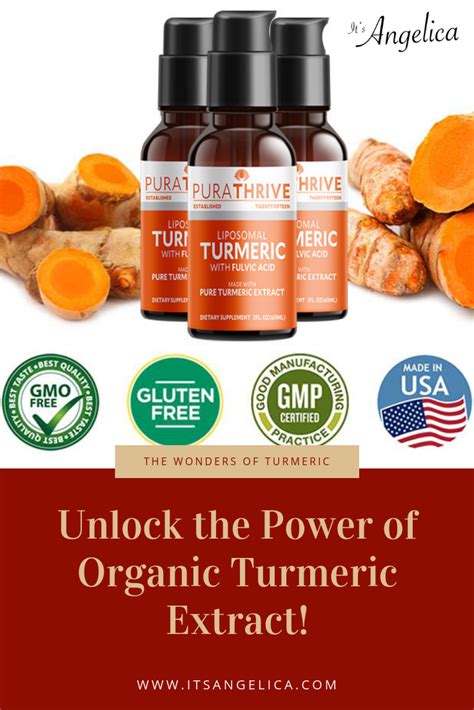 Liposomal Turmeric | Most Absorbable | Organic & GMO-Free | Purality ...