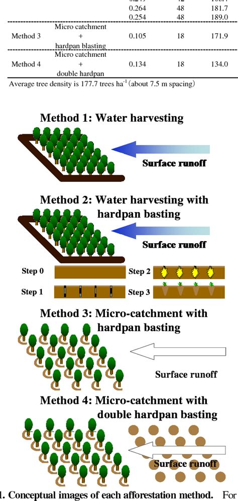 Figure 2 from Selection of Appropriate Planting Methods and Tree ...