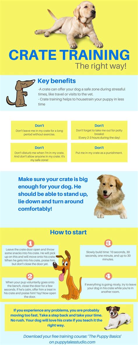 Awesome 45+ Puppy Training Tips https://meowlogy.com/2017/03/26/45 ...