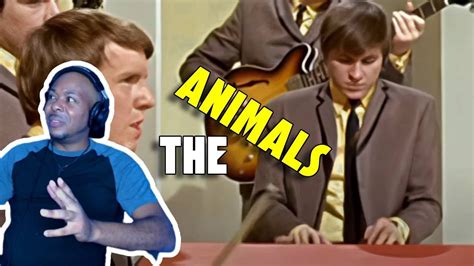 The Animals - House Of The Rising Sun (First Time Reaction) Very Different!!! 😅😂😅 - YouTube