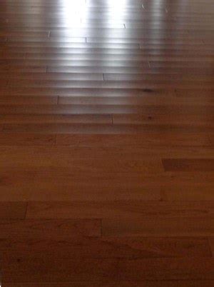 Hardwood Floors Buckling Humidity | Floor Roma