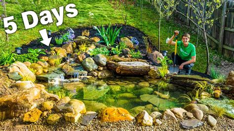 DIY Budget Ecosystem Pond - Solo Build in 5 Days by Hand - YouTube