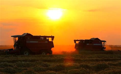 Premium Photo | Harvesting a field