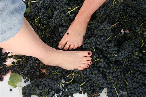 Fun Run & Grape Stomp with Airfield Estates | Luke | Flickr