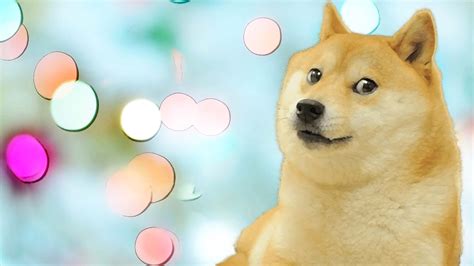 Doge Wallpaper Meme