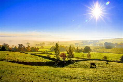 Foggy and sunny weather in Huddersfield - YorkshireLive