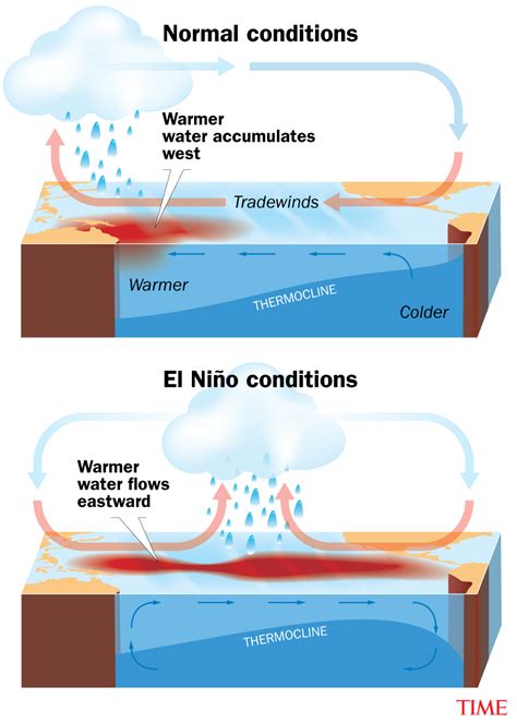 El Niño Has Begun. What to Know About the Weather Phenomenon - XYZXニュース