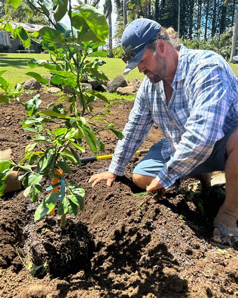 HOW TO CARE FOR YOUR FRUIT TREE - Natureworks Nursery