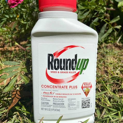 Roundup Alternatives - The Popular Herbicide Will Soon Be No More