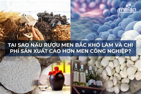 Tại sao sản xuất rượu men thuốc bắc cao hơn men thường?