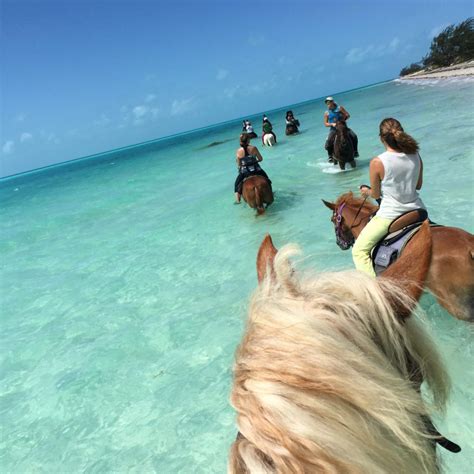 Enjoy the Best of Turks & Caicos with 6 Fun Family Activities | Best places to travel, Best ...