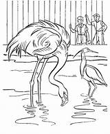 Zoo Animals Coloring Pages  Best For Kids sketch template