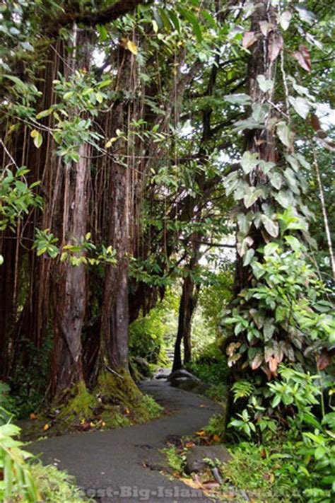 Akaka Falls - An impressive, accessible Big Island waterfall