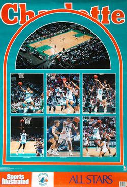 Charlotte Hornets – Sports Poster Warehouse