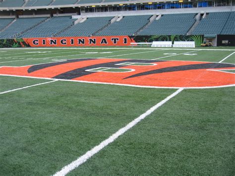 iaTURF: CINCINNATI BENGALS STADIUM