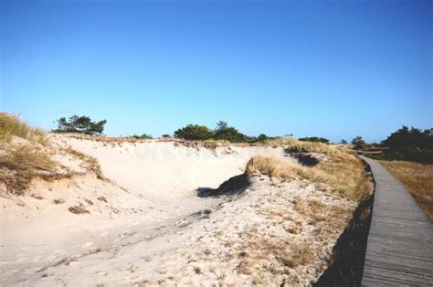 Walking through the Western Pomerania Lagoon Area National Park Stock ...