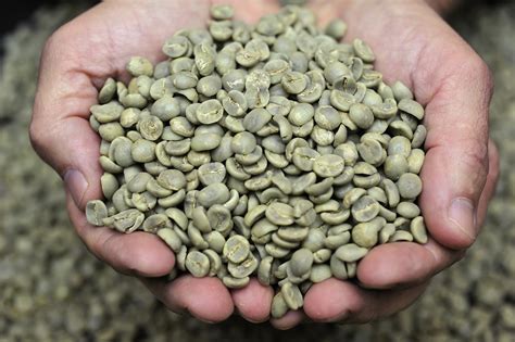 3 Benefits of Green Coffee Beans for New and Veteran Coffee Drinkers ⋆ The Stuff of Success