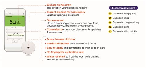 CGM FreeStyle Libre Glucose Monitoring System