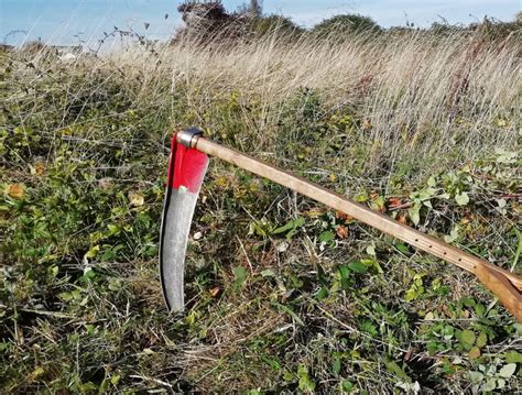 Choosing scythe blades for rough mowing - Wild Scythe