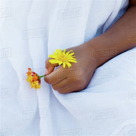 Child's hand holding flowers - Stock Photo - Dissolve