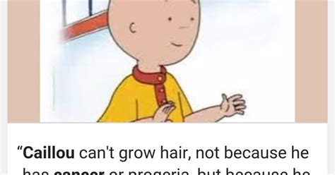 Today I learned why Caillou has no hair... | Meme Collection | Pinterest | Caillou, Meme and Memes