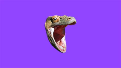 Twitch's Latest Pogchamp Emote Is A Meme Lizard, Not A Streamer